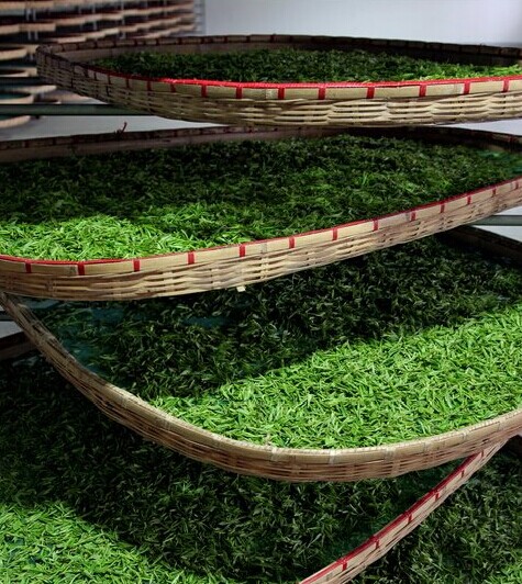 茶葉除濕機(jī)