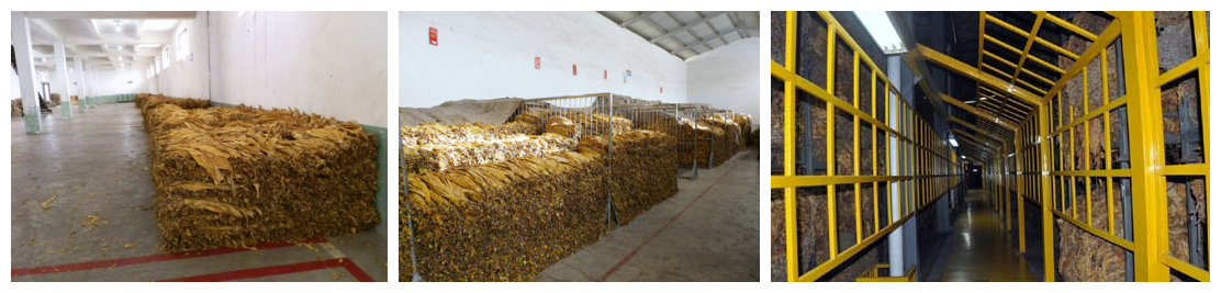 煙草除濕機(jī)