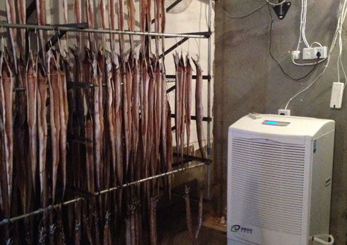 魚(yú)干烘干除濕機(jī)