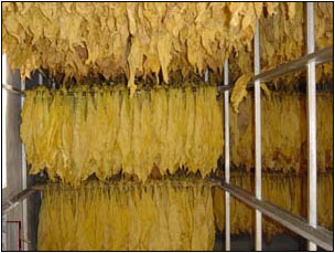 煙草行業(yè)加濕器