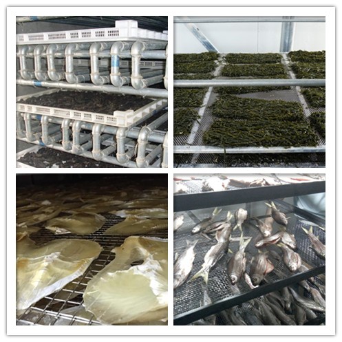 海產(chǎn)品烘干除濕機(jī)