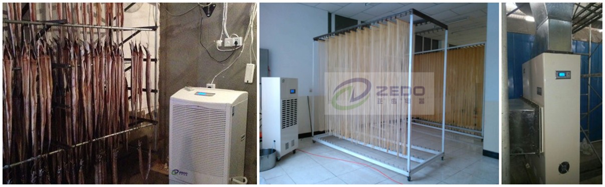 筍干烘干除濕機(jī)