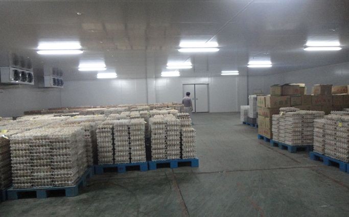 超聲波氣調(diào)庫加濕器