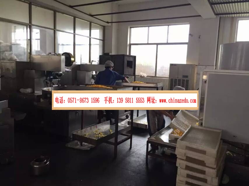 糖果加工廠用除濕機(jī)