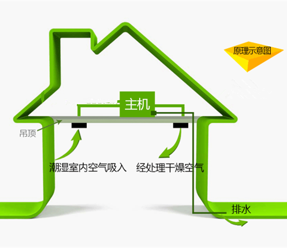 別墅吊頂式除濕機(jī)