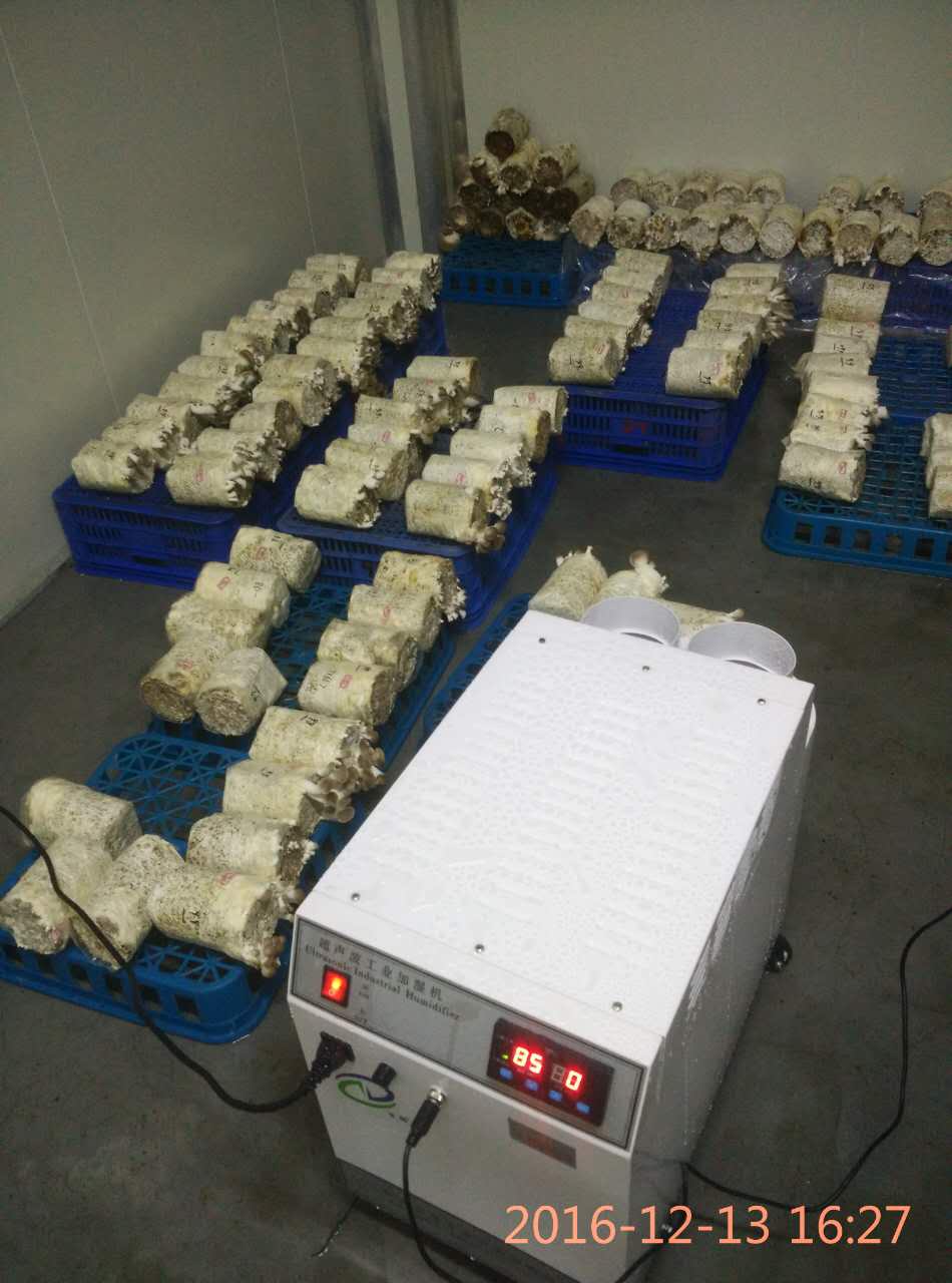 食用菌菇房用加濕機(jī)