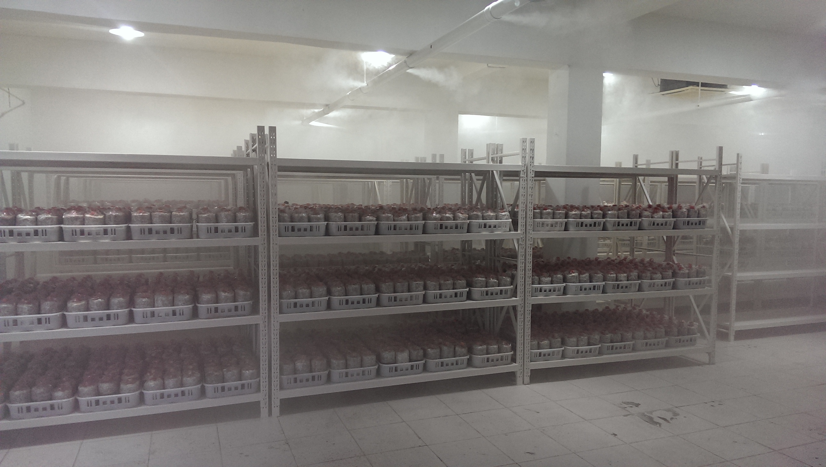 食用菌菇房用加濕機(jī)