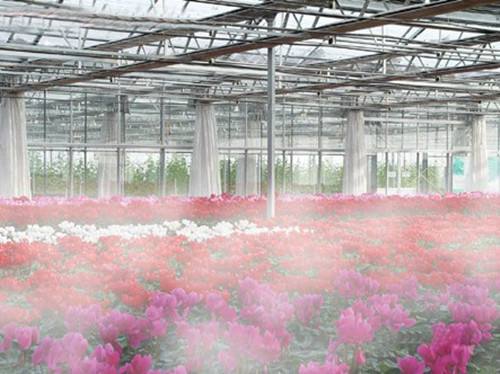 溫室大棚噴霧加濕器