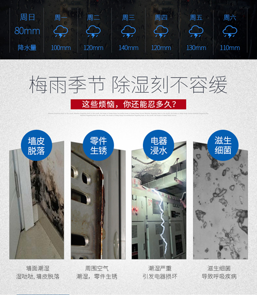 工業(yè)除濕機(jī)