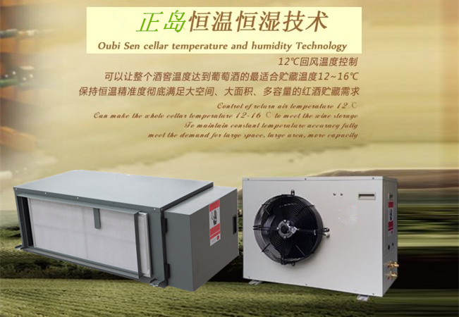 酒窖恒溫恒濕空調(diào)