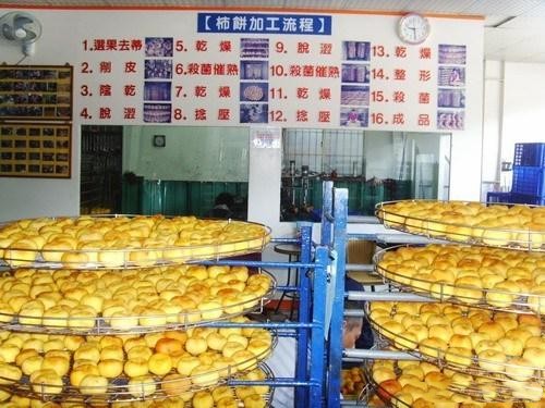 柿餅烤箱專用除濕機