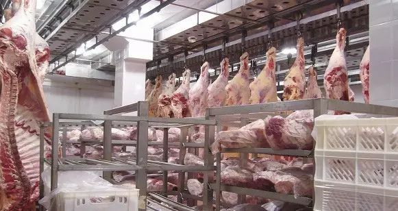 冷凍肉解凍加濕器