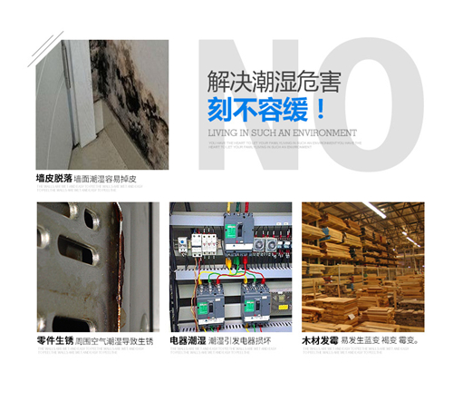 工業(yè)除濕機(jī)