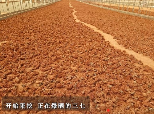 烘干除濕機(jī)