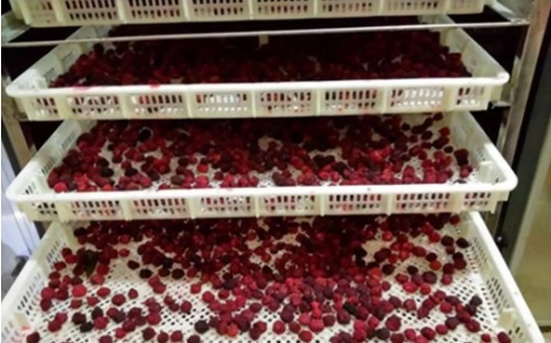 烘干用除濕機(jī)