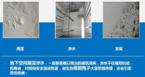 地下室除濕機(jī)