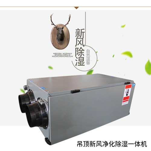 住宅建筑新風(fēng)除濕機(jī)
