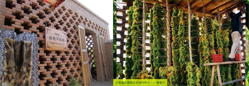 葡萄干烘干除濕機(jī)