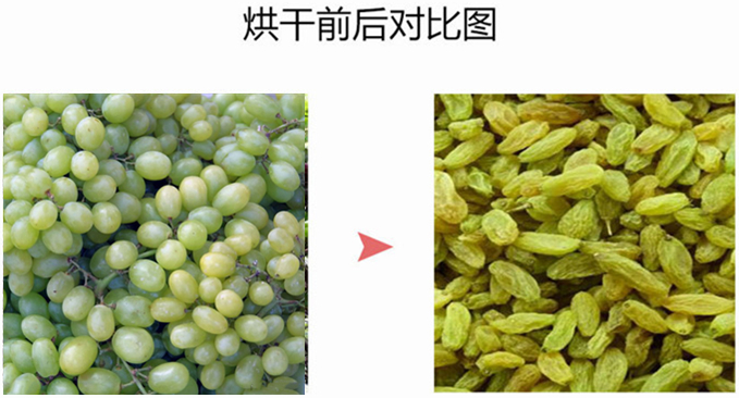 葡萄干烘干除濕機(jī)