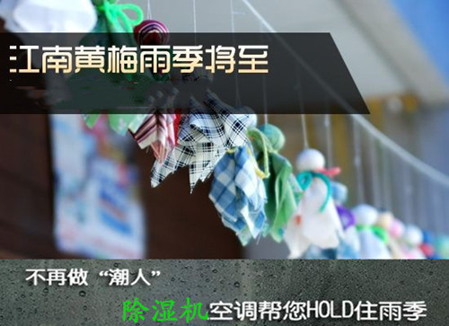 一鍵去濕用除濕機(jī)