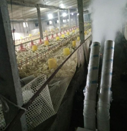 養(yǎng)殖場打藥霧化消毒機