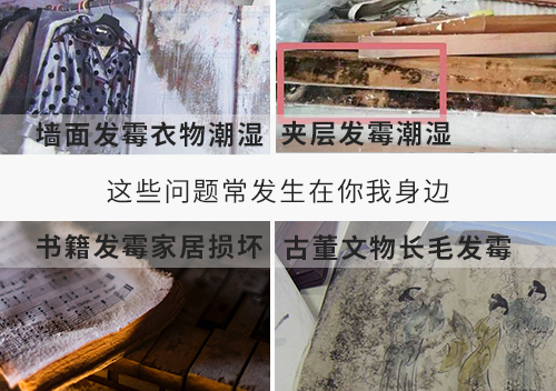 室內(nèi)防潮除濕機(jī)