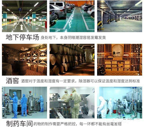 工程除濕機(jī)