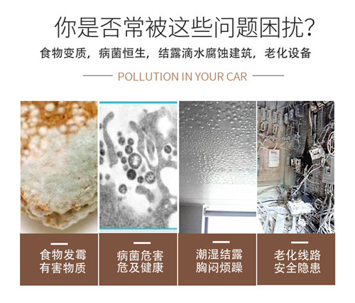 室內(nèi)除濕機(jī)