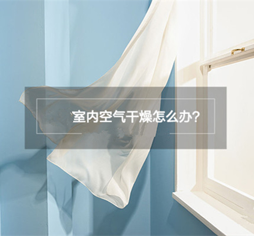 室內(nèi)干燥怎么辦？