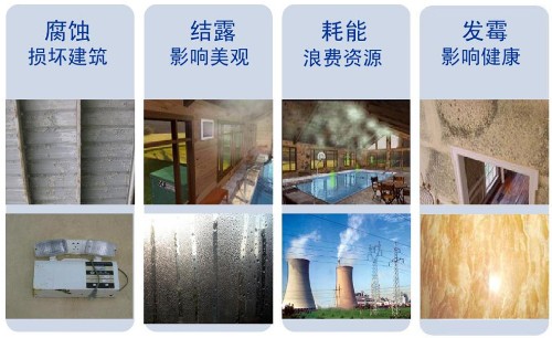 壁掛式泳池除濕機(jī)