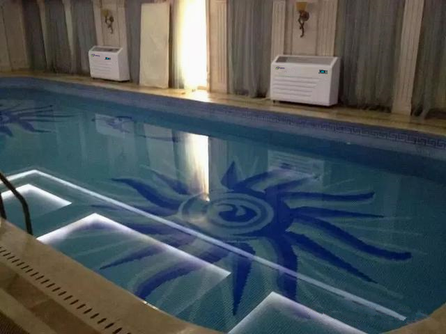 壁掛式泳池除濕機(jī)