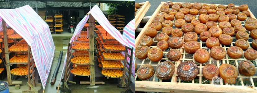 柿子烘干機(jī)