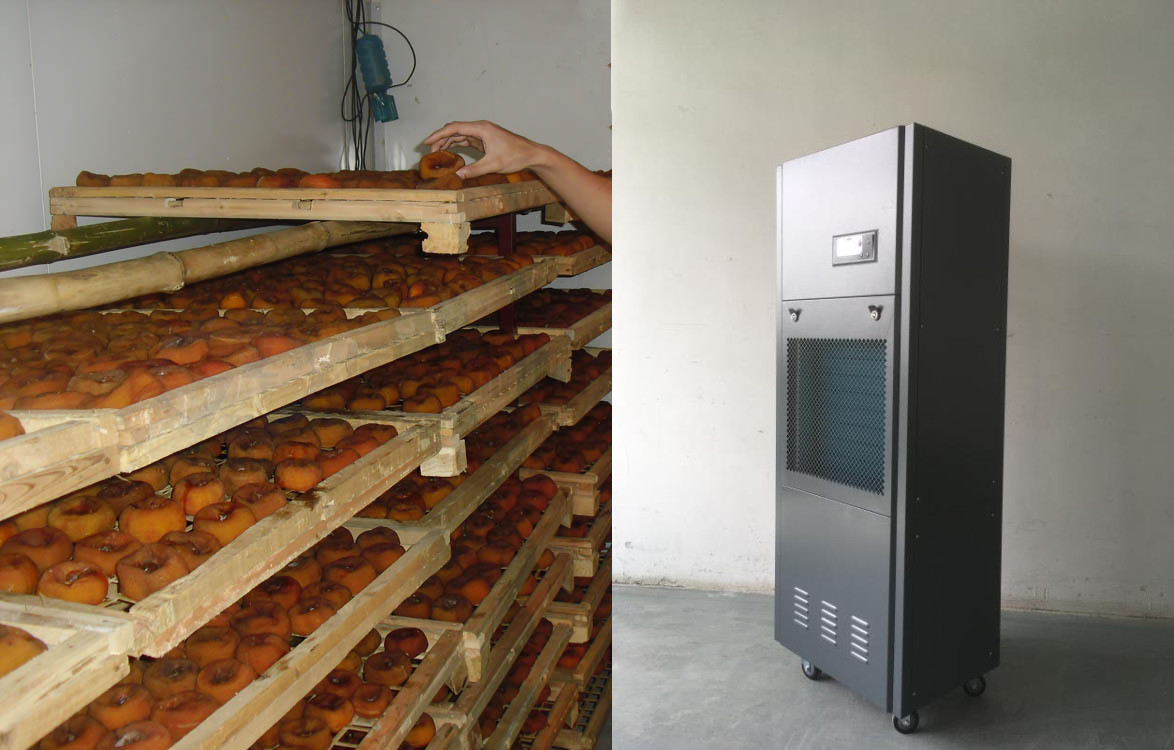 柿餅烘干機(jī)