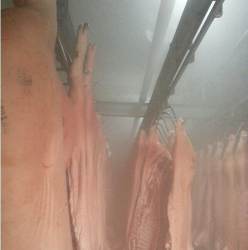 預(yù)冷庫(kù)加濕器