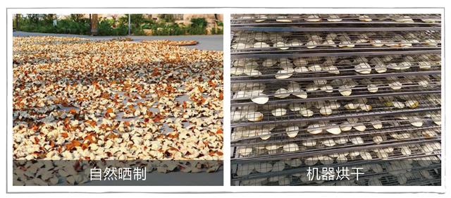 陳皮烘干機(jī)