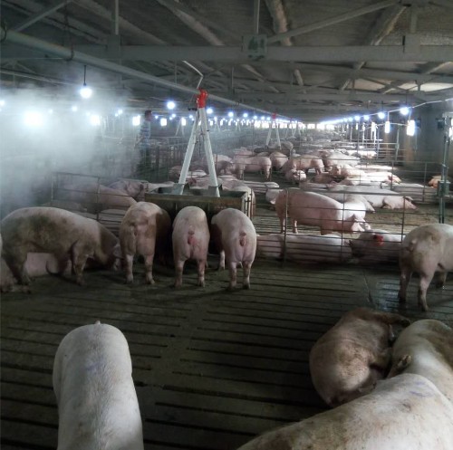 養(yǎng)殖場除臭機