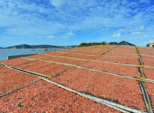 蝦仁蝦米蝦皮烘干機