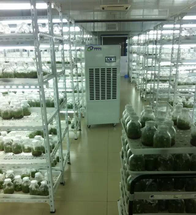 塑料大棚除濕機(jī)