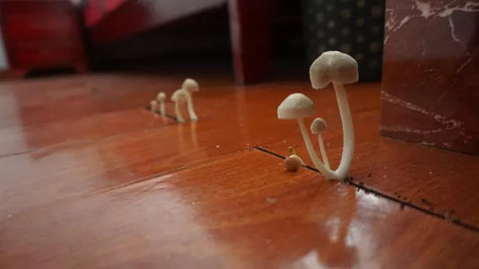 中央除濕機(jī)