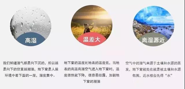 地下室新風除濕機