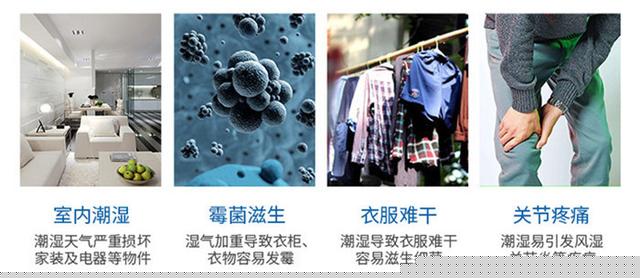 室內(nèi)除濕機(jī)