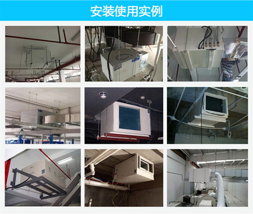 吊頂倉(cāng)庫(kù)除濕機(jī)