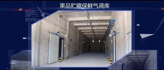 果蔬氣調(diào)庫增濕器