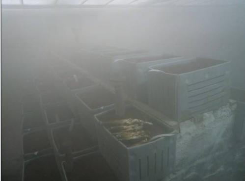 果蔬氣調(diào)庫增濕器