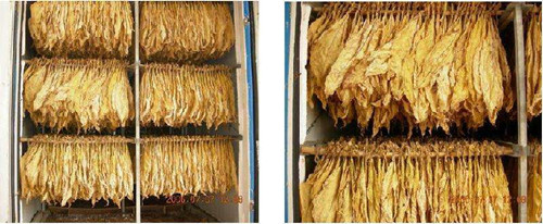 煙葉回潮機(jī)