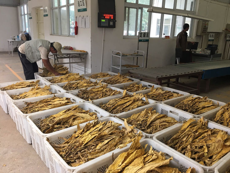 煙站專用回潮機(jī)