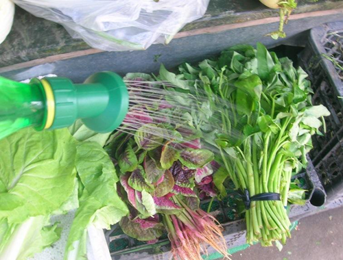 蔬菜保鮮加濕器