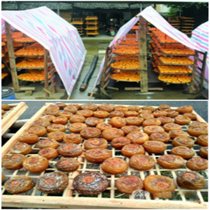 柿餅烘干除濕機(jī)