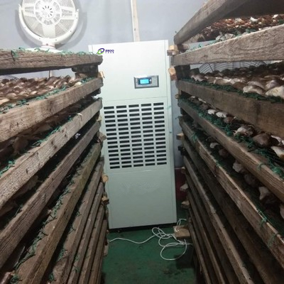 柿餅烘干除濕機(jī)