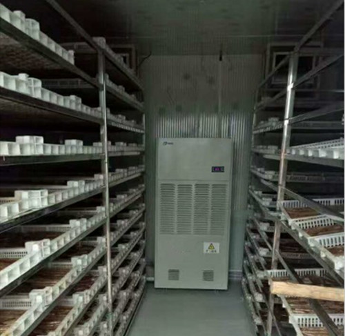 蠶繭脫水除濕機(jī)